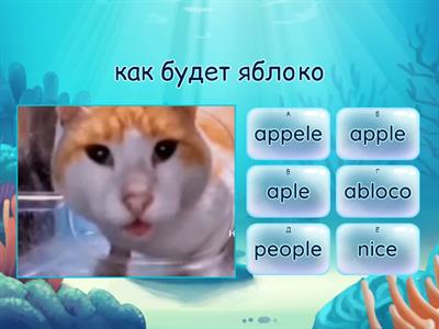 Задание для начинающих