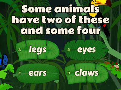 Animal Body Parts