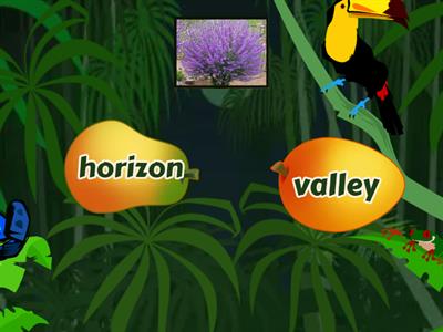 Vocabulary Lesson 18 Natural Features