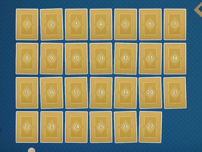 Contrôle au faciès