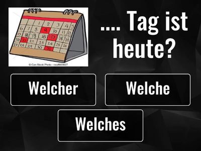 Welcher/Welche/Welches?