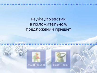 Present Simple + Вопросительные слова 👀 True or False?