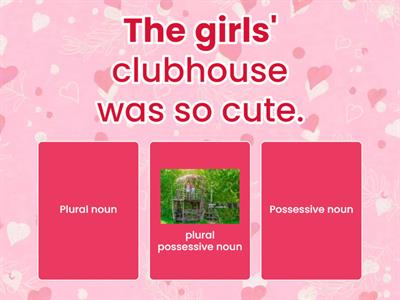 plural vs. possessive