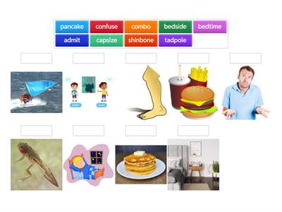 VCCV reptile Vocab s1