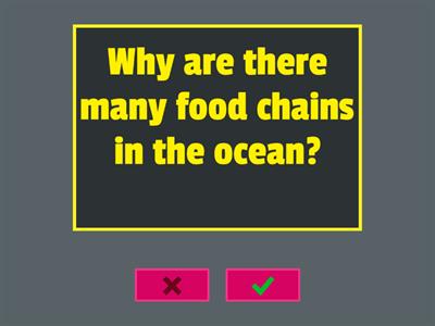 4B Prompting Questions