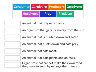 Food Chain vocabulary Year 3