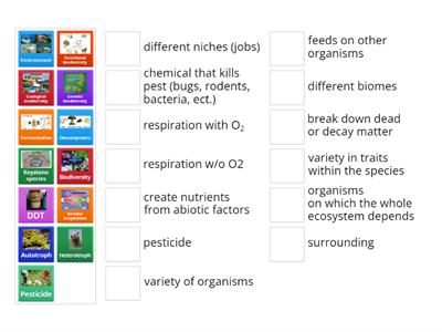 Environmental Science Wocabulary