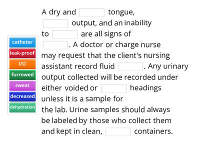 Bowel and Bladder Vocab Review
