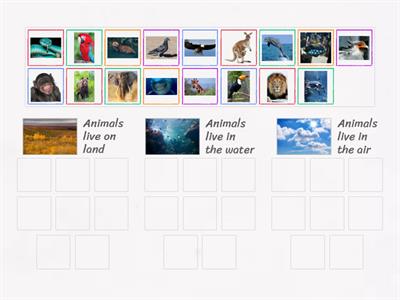 K5 Where do animals live?