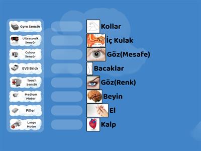 EV3 Parçalarını Vücudumuzun Hangi Organıyla Eşleştirirsiniz?