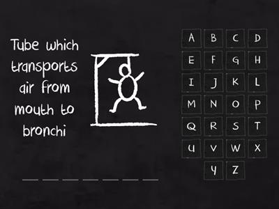 Respiratory system hangman