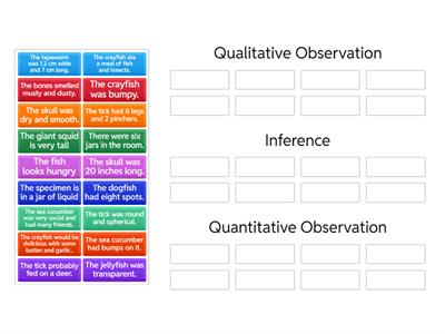 Observation and Inference 