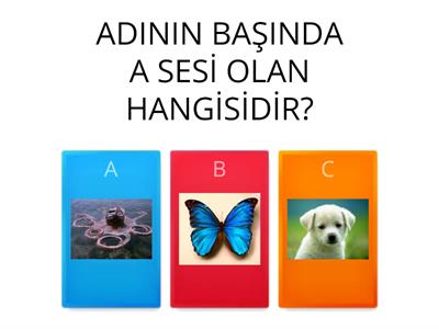 A,a SESİNİ HİSSETME TESTİ - Okul Öncesi