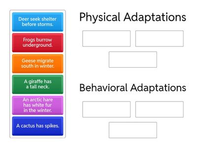 Adaptations