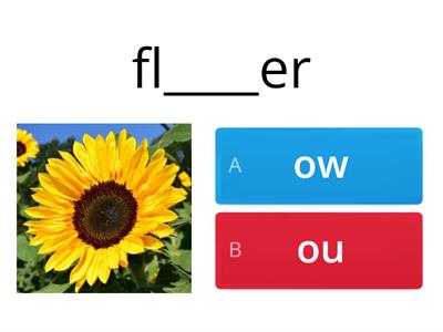 Vowel Team Quiz: ow ou