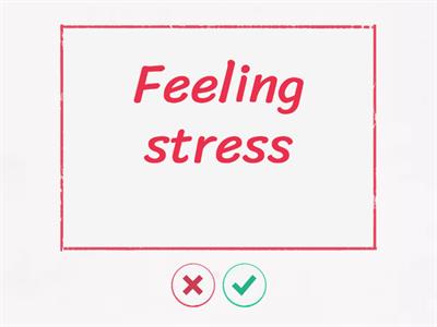 Functions of The Brain