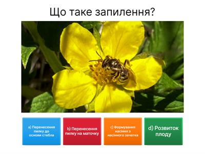 Особливості розмноження насінних рослин, біологія 7 клас НУШ