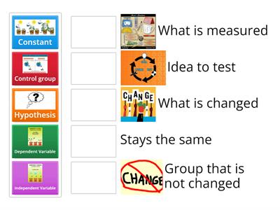 Experimental Design key terms
