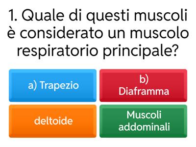 Quiz sulla conoscenza