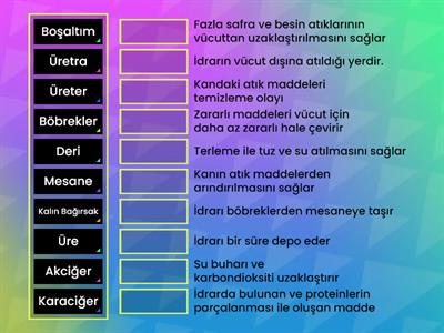 Boşaltım Sistemi - http://www.fenusbilim.com/ 