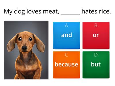 Conjunctions (and, or, because, but)