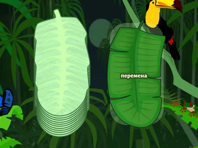 7 кл. Расписание уроков