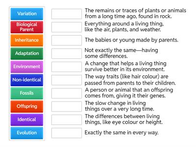 Inheritance terminology - KS2 or KS3