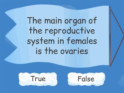 Organ systems 