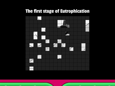 Eutrophication mix and match