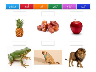 quiz words arabic 