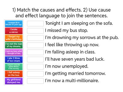 Cause and Effect Warmer
