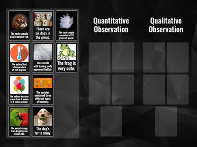 Qualitative/ Quantitative Observations