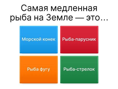 Жизнь под водой
