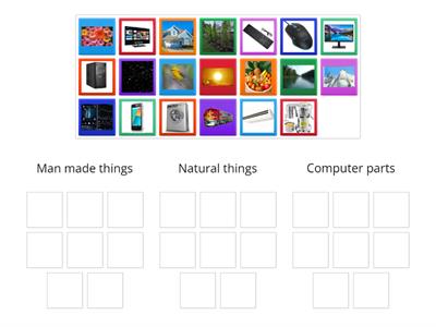 Group Sort - Assessment