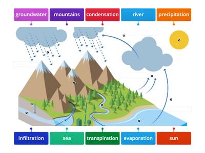 The Water Cycle