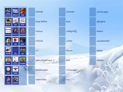 Anishinaabemowin Nouns 1