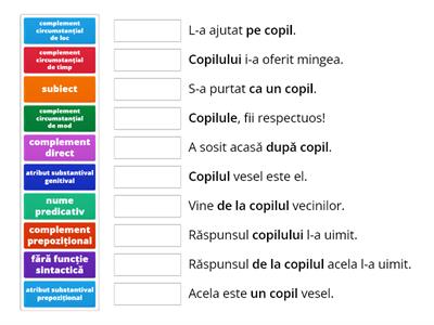 Substantivul. Functii sintactice