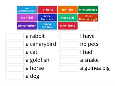 Y7 German Pets