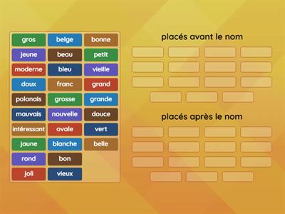 La place de l'adjectif en français