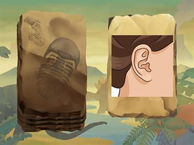 Green light - Red light