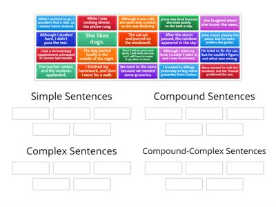 Sentence Types