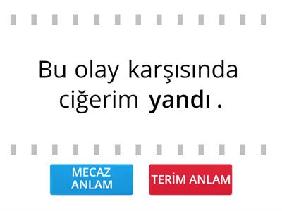 MECAZ ANLAM - TERİM ANLAM