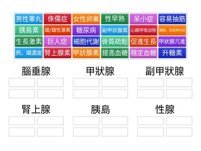 內分泌功能(by Taincollege)