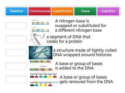 Mutations Definition Sort