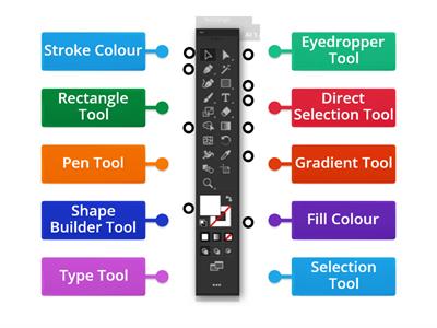 Adobe Illustrator Labelled Diagram