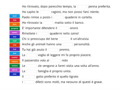 Completa con gli aggettivi possesivi mancanti