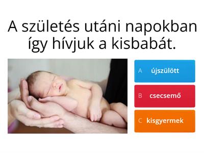 Az emberi fejlődés szakaszai