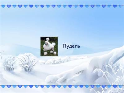 Новые слова