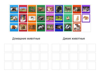 Мир животных 