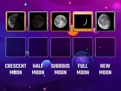 Phases of the moon